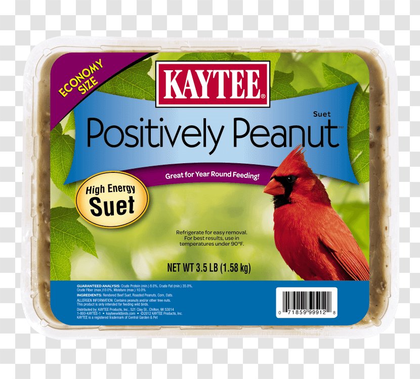 Bird Food Kaytee 3.5-Pound Suet And Seed Large Feeders Amazon.com Transparent PNG