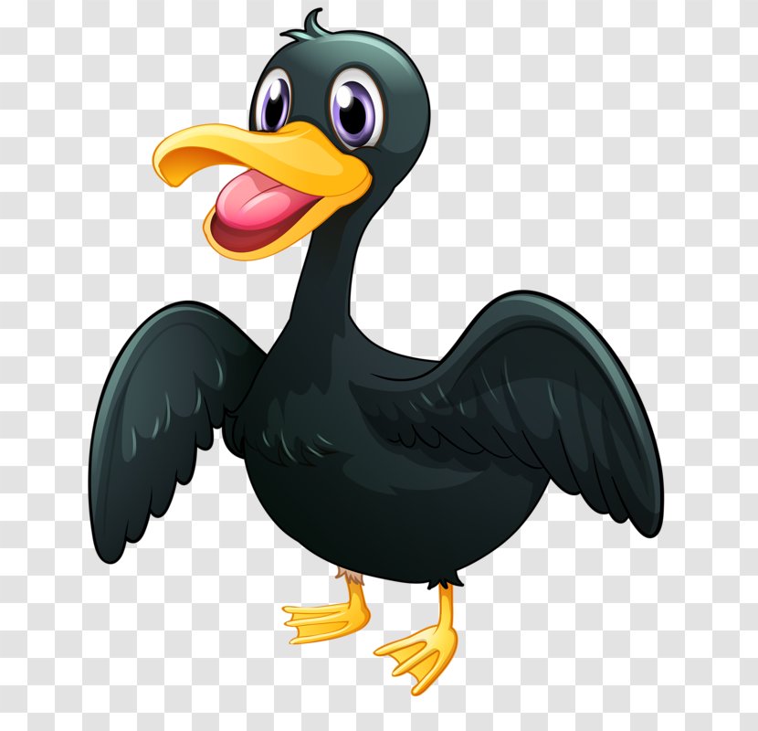 American Pekin Duck Bird Platypus - Animal - Black Transparent PNG