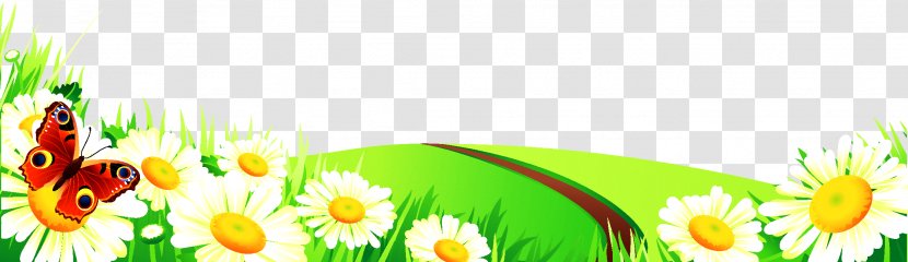 Euclidean Vector - Meadow - Country Road Transparent PNG