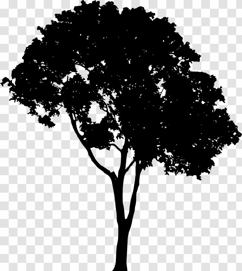 Vector Graphics Clip Art Tree Silhouette - Branch - Botany Transparent PNG