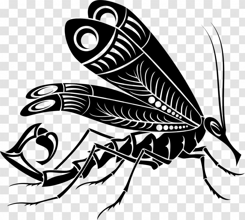 Butterfly Scorpion Mosquito Clip Art - Moths And Butterflies - Venomous Transparent PNG