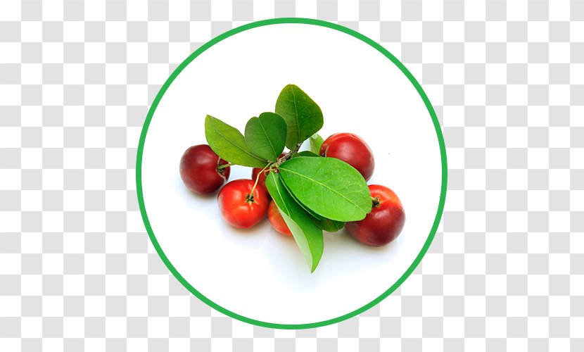 Barbados Cherry Cherries Food Fruit Photography - Flower - Acerola Transparent PNG