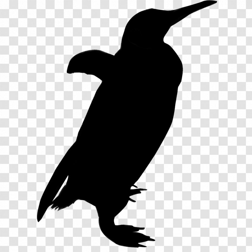 Clip Art Silhouette Bird Penguin Vector Graphics - Brown Pelican - Royaltyfree Transparent PNG