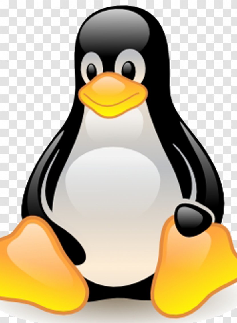 Linux Computer Software Operating Systems Windows Server Transparent PNG