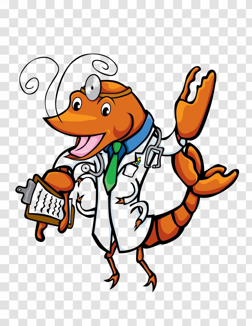 Physician Clip Art - Cartoon - Spicy Crayfish Transparent PNG