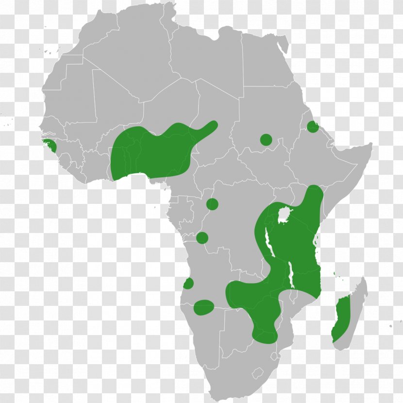Africa Vector Map Blank - African Continental Free Trade Area Transparent PNG