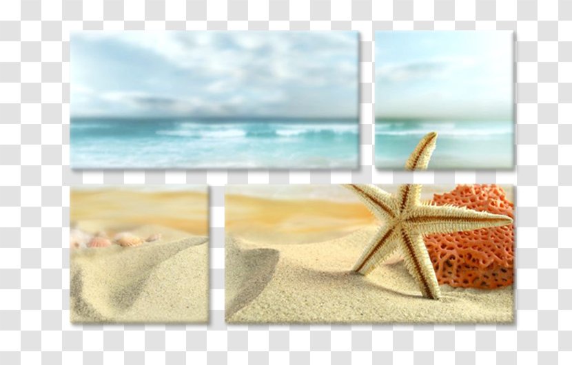 Beach Desktop Wallpaper Shore Starfish Seashell - Uxga Transparent PNG