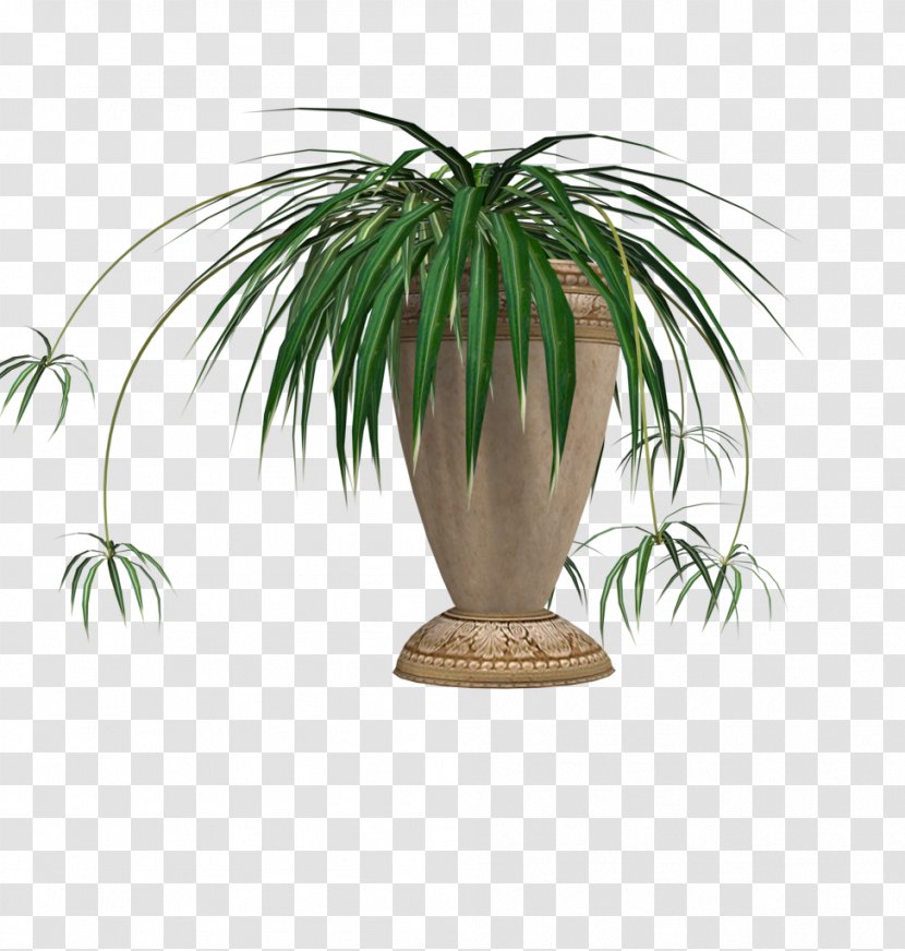 Image Flowerpot Penjing Palm Trees - Plant - Eps (2) Transparent PNG