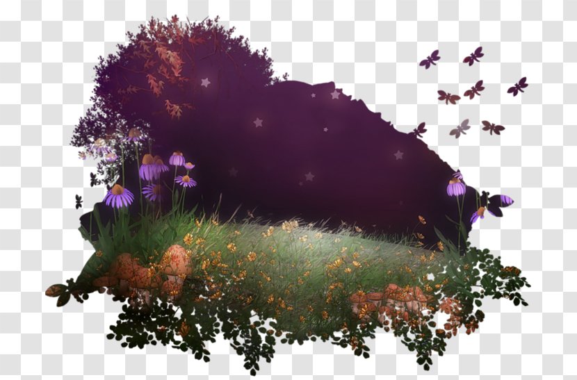 Desktop Wallpaper Digital Image Clip Art - Organism - Purple Transparent PNG