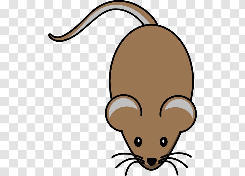 Computer Mouse Laboratory Rat Mickey Clip Art - Ear Transparent PNG