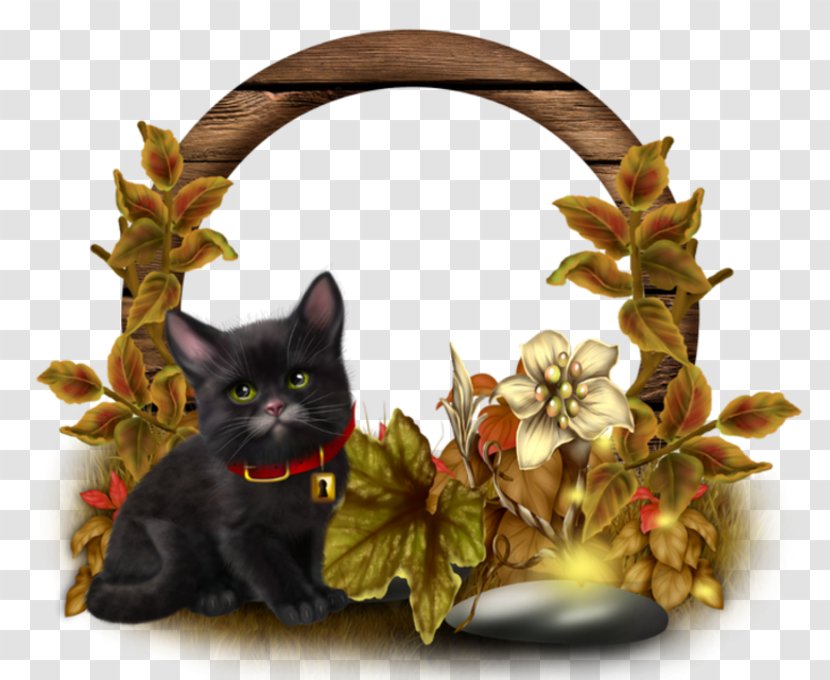 Autumn Clip Art Borders And Frames Picture - Kitten Transparent PNG