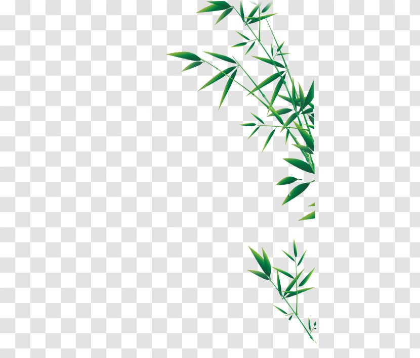 Green Bamboo - Search Engine - Leaves Transparent PNG