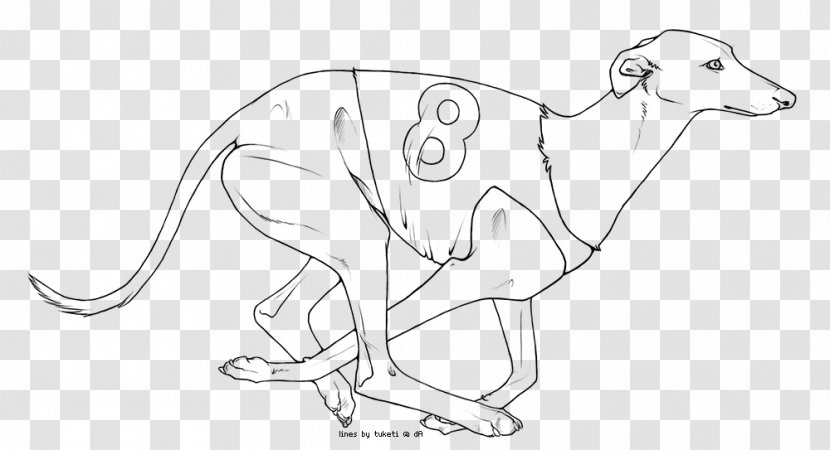 Dog Macropodidae /m/02csf Line Art Canidae - Cartoon Transparent PNG