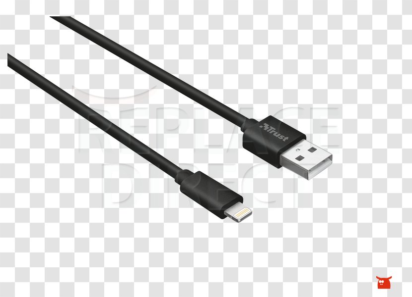 IPhone 5 IPad Mini 3 Lightning Electrical Cable USB - Ipad Transparent PNG