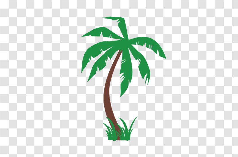 Arecaceae Tree Date Palm Coconut Sabal - Arecales Transparent PNG