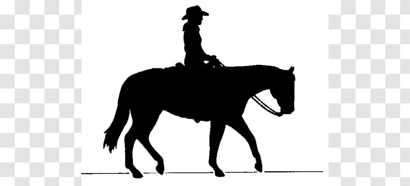 Dallas Cowboys Horse Clip Art - Vertebrate - Outlier Cliparts Transparent PNG