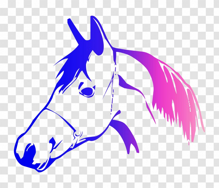 Baltimore Drawing Illustration Coloring Book Pony - Marker Pen - M02csf Transparent PNG