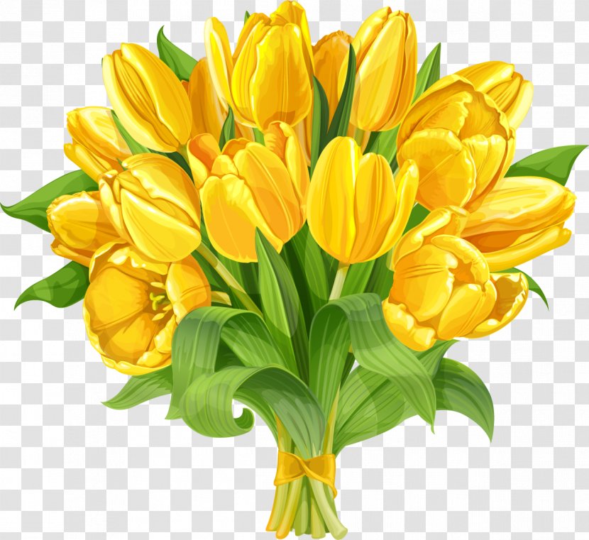 Tulip Festival Flower Bouquet - Color Transparent PNG