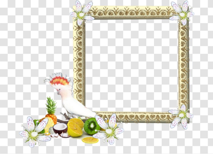 Picture Frames Preview Teth - Photomontage - Galaxy Border Transparent PNG