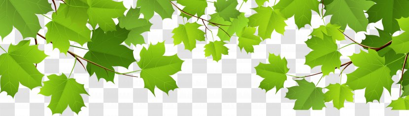 Leaf Clip Art - Plant - Decorative Leaves Transparent Image Transparent PNG