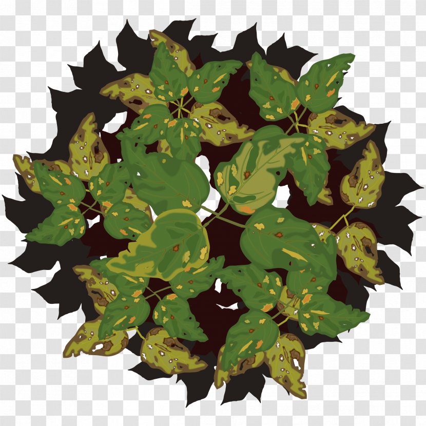 Clip Art Openclipart Image Leaf - Flowerpot - Tree Diseases Transparent PNG