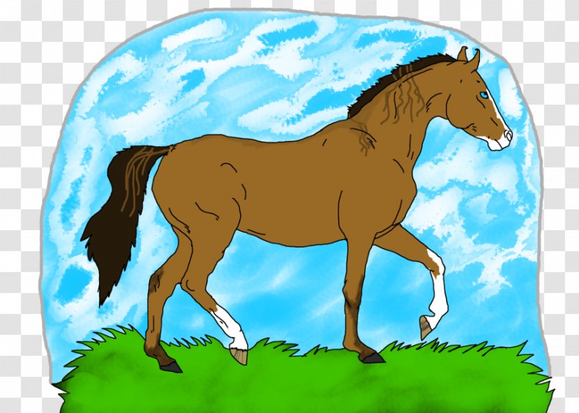 Mustang Foal Mare Stallion Colt - Rein Transparent PNG