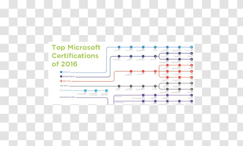 Microsoft Certified Professional Certification Solution Developer - Cartoon Transparent PNG