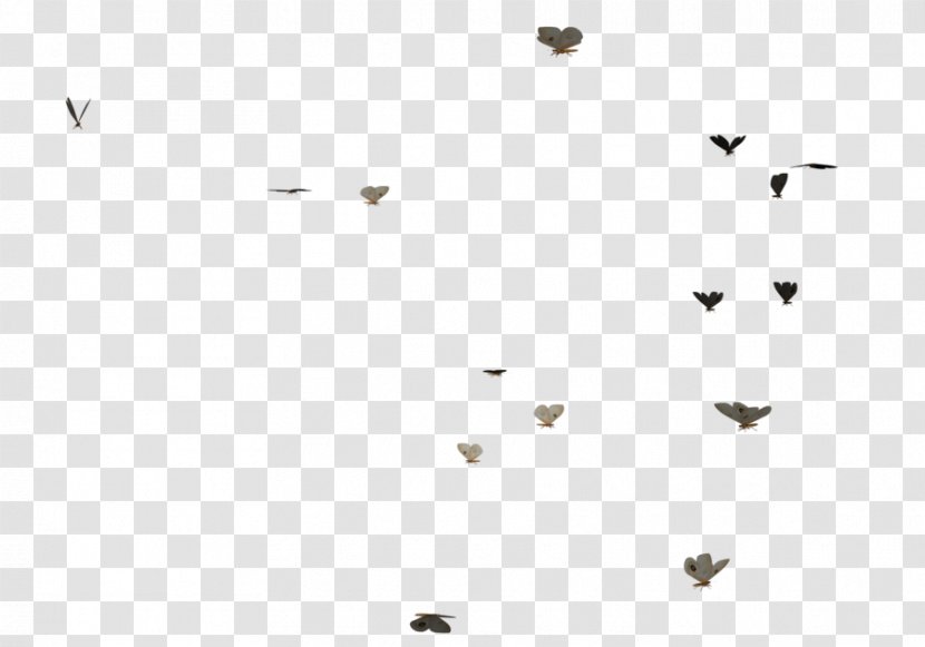 Line Black And White Angle Point - Triangle - Butterflies Swarm Transparent PNG
