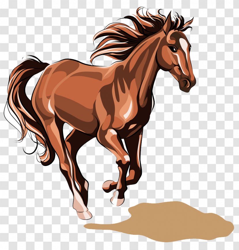Horse Stallion Royalty-free Illustration - Mane - Running Transparent PNG