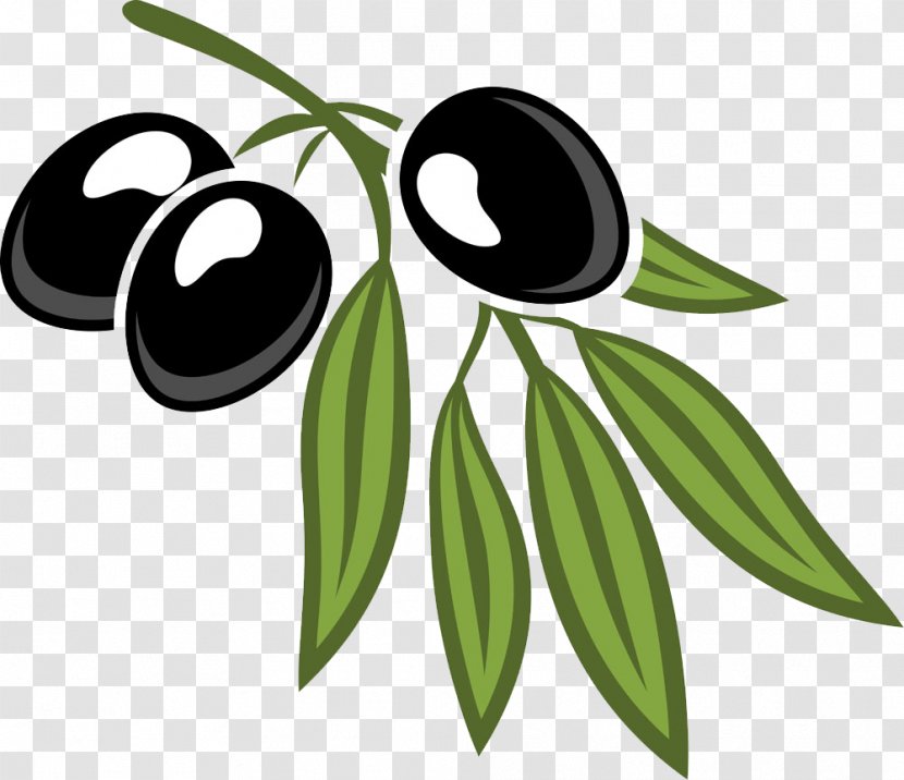 Olive Leaf Cartoon Royalty-free - Black And White - Olives Foliage Transparent PNG