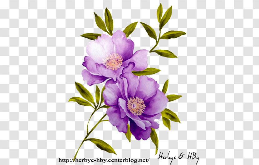 Watercolor: Flowers Stock Photography Stock.xchng Watercolor Painting - Plant - Flower Transparent PNG