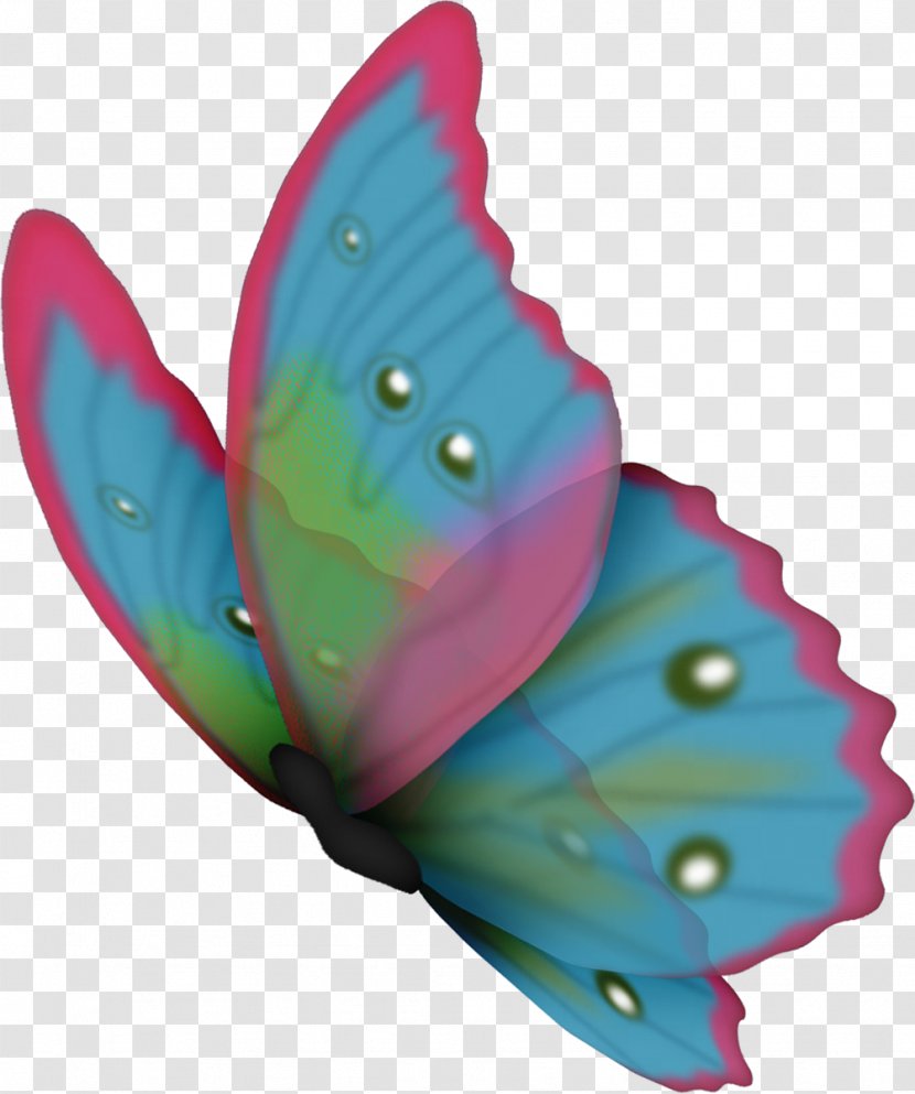 Butterfly Color - Green Transparent PNG