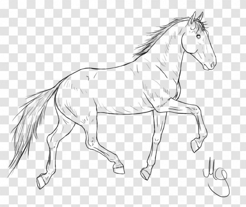 Mane Foal Bridle Mustang Stallion - Horse Transparent PNG