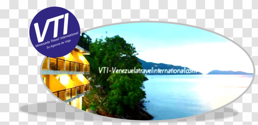 Hotel Puerto La Cruz Coche Island Travel Angel Falls - Margarita - International Tourism Transparent PNG