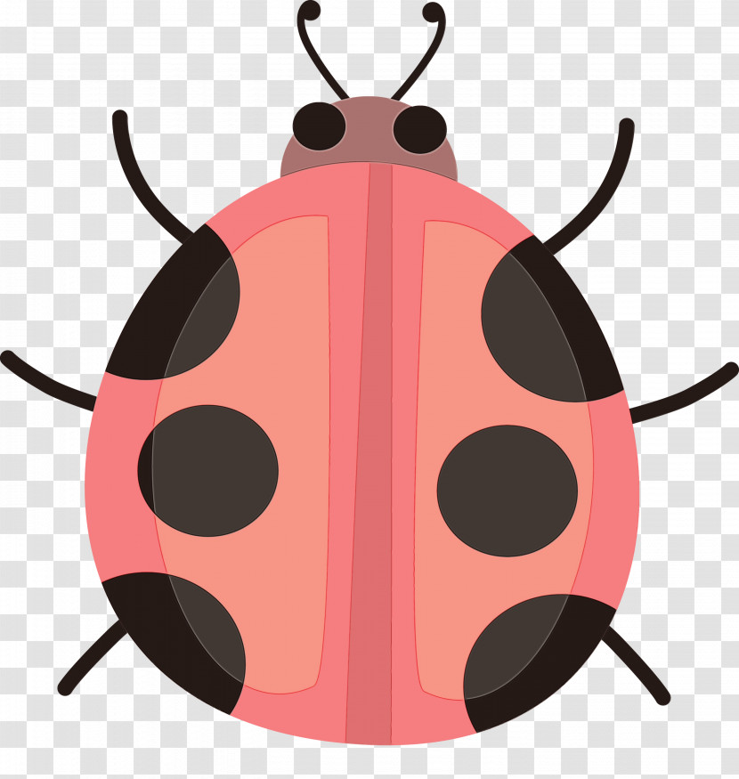 Insect Jewel Bugs Pest Transparent PNG