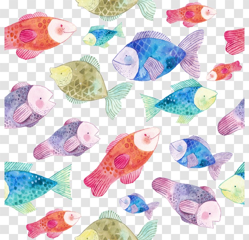 Drawing Fish Photography Illustration - Stock - Decorative Transparent PNG