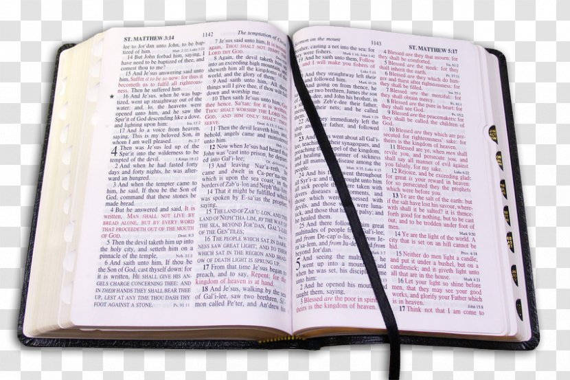 Bible Study New Century Version Prayer - Holy Transparent PNG