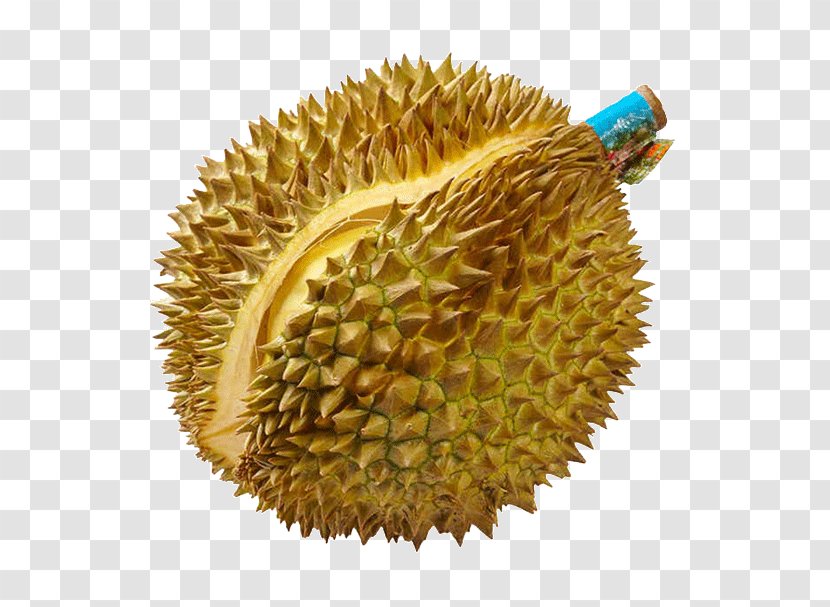 Fruit Food Durio Zibethinus Poster - Durian Transparent PNG