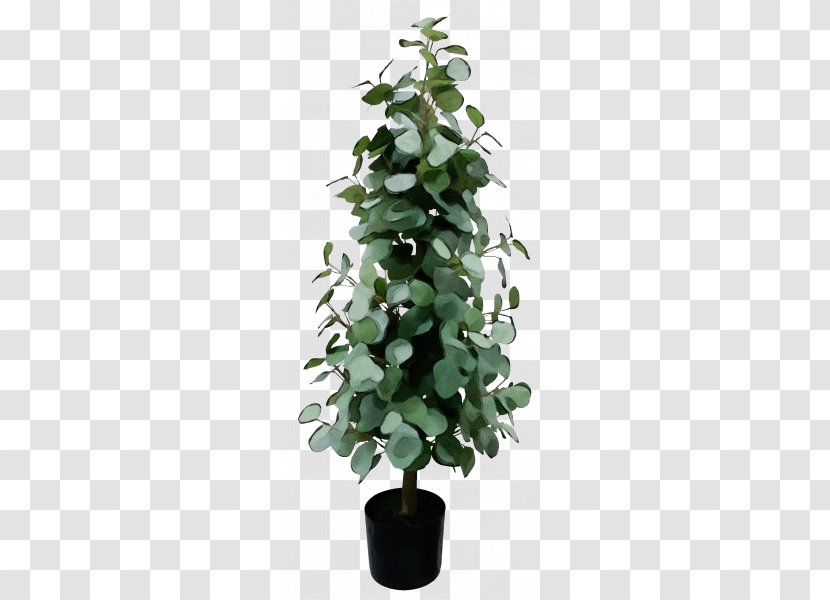 Ivy - Tree - Mock Orange Transparent PNG