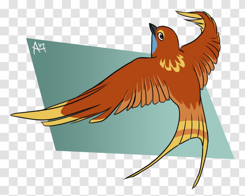 Beak Macaw Feather Clip Art - Fauna Transparent PNG