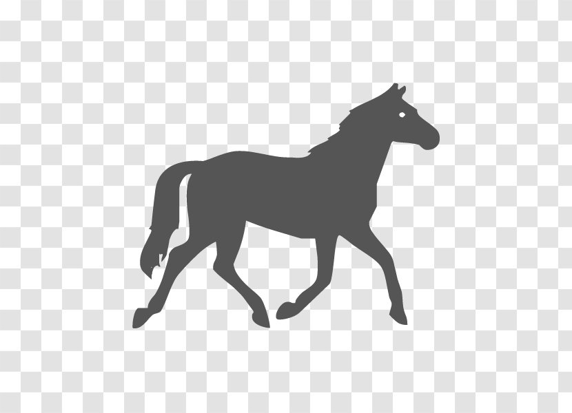 Horse Pony Equestrian - Mane Transparent PNG