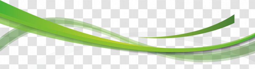 Brand Green - Vector Cartoon Background With Wavy Lines Transparent PNG