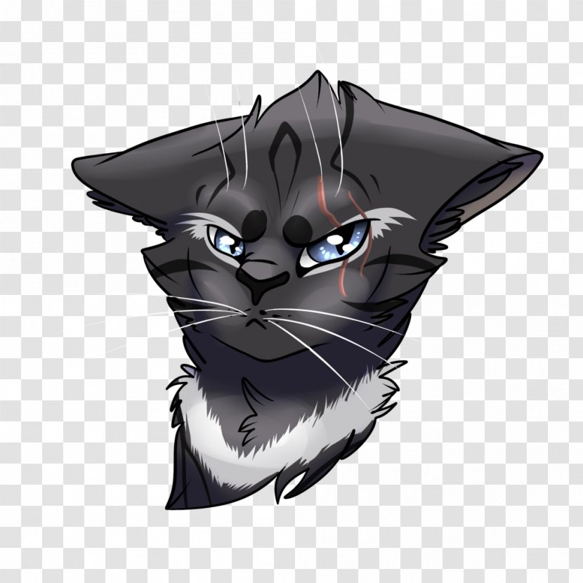 Whiskers Cat Snout Character - Head Transparent PNG