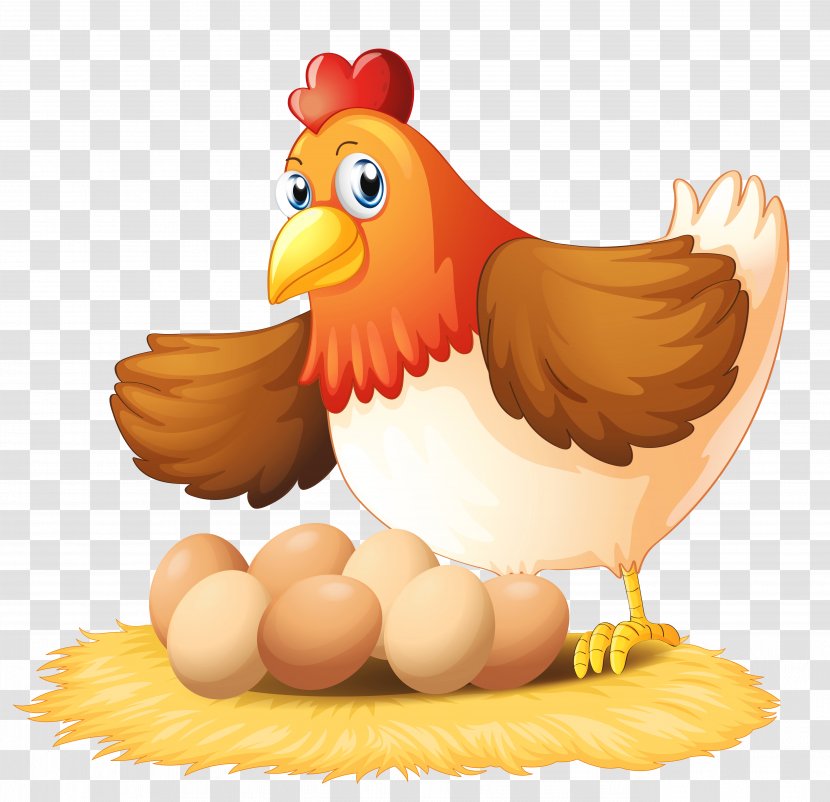 Chicken Egg Clip Art - Kifaranga - Hen Cliparts Transparent PNG