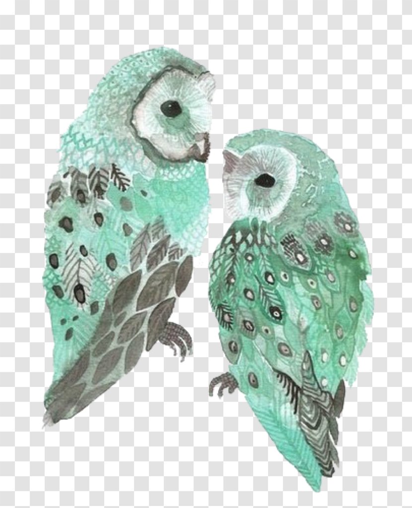 Owl Bird Blue Green Image Transparent PNG