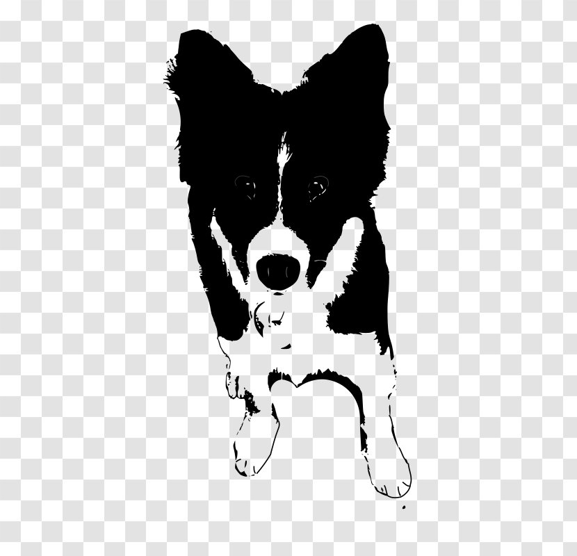 Dog Breed Border Collie Puppy St. Bernard Drawing - Snout Transparent PNG