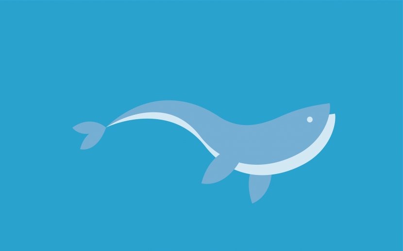 Shark Marine Mammal Dolphin Fish Cetacea - Whale Transparent PNG