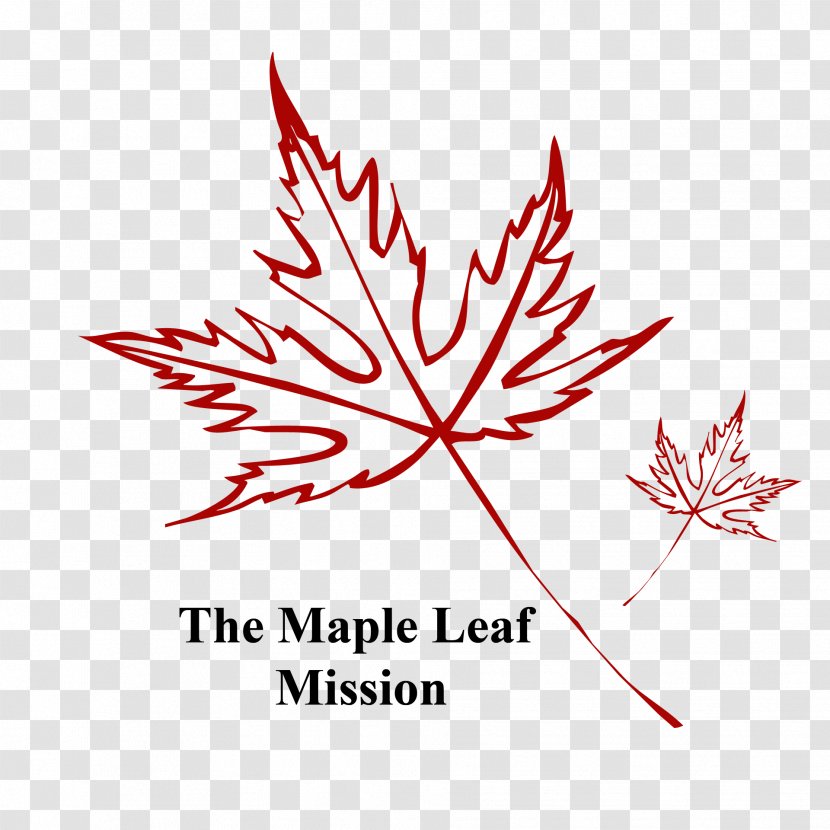 Maple Leaf Bar Design Photographer - Photography - Red Nature Transparent PNG