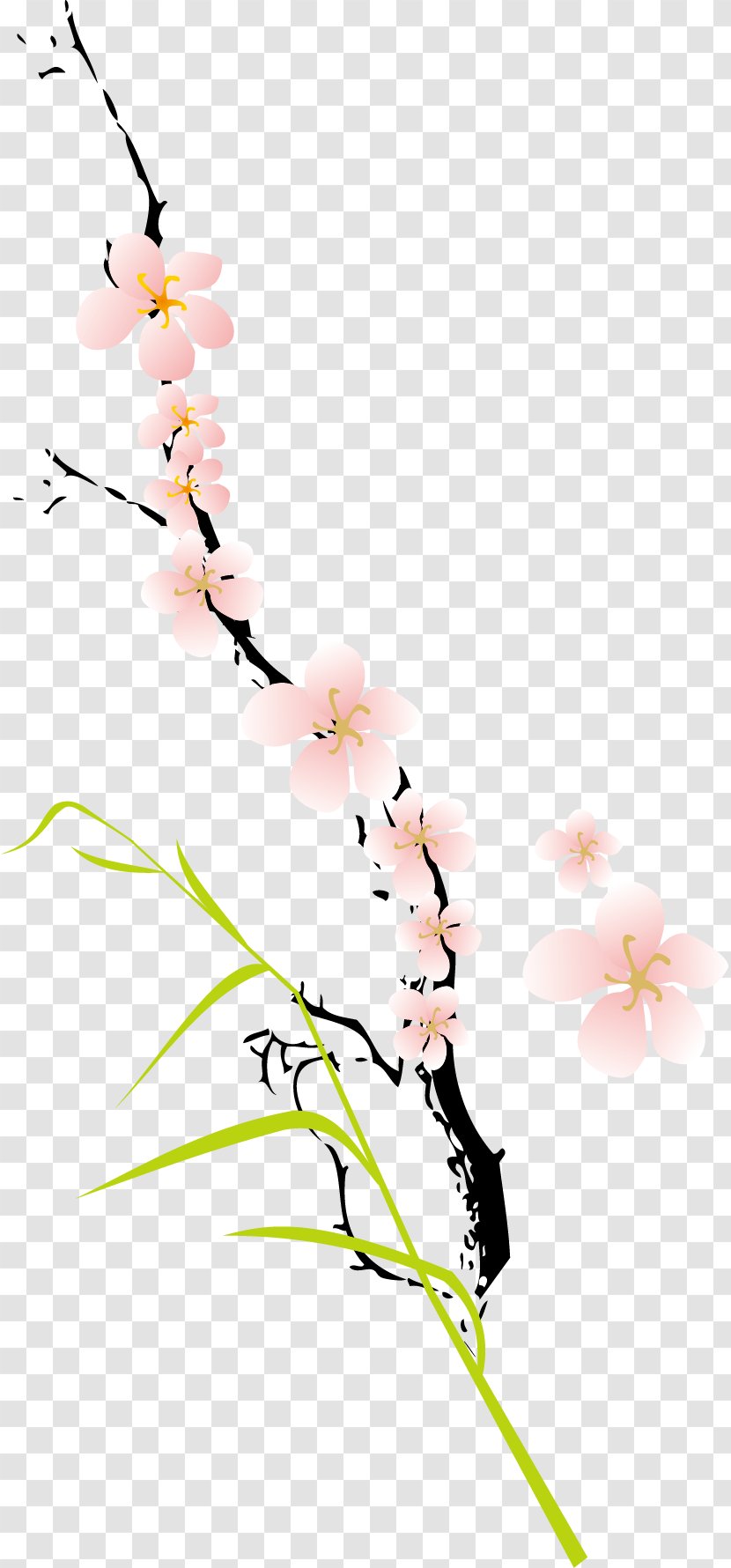 Peach Blossoms Clip Art - Recreation Transparent PNG