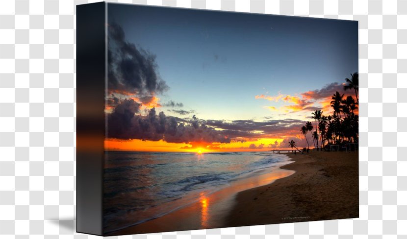 Punta Cana Picture Frames Imagekind Art Transparent PNG
